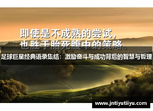 足球巨星经典语录集结：激励奋斗与成功背后的智慧与哲理