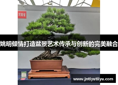 姚明倾情打造盆景艺术传承与创新的完美融合