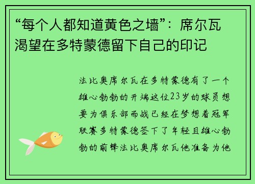 “每个人都知道黄色之墙”：席尔瓦渴望在多特蒙德留下自己的印记
